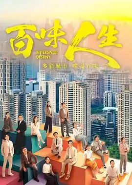 十七楼的风职场剧在线观看